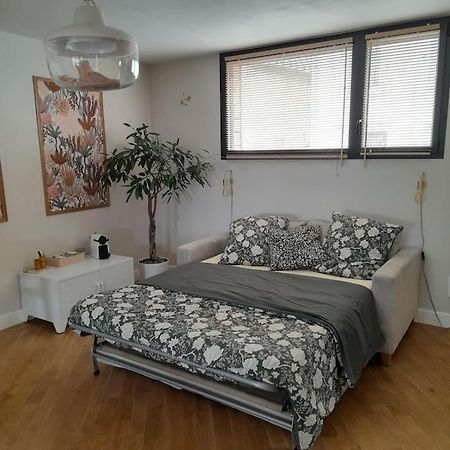 Joli Studio Avec Stationnement Gratuit Dans La Rue Apartment Le Mans Luaran gambar